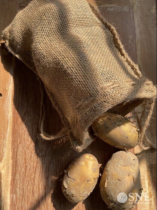 Jute Bag