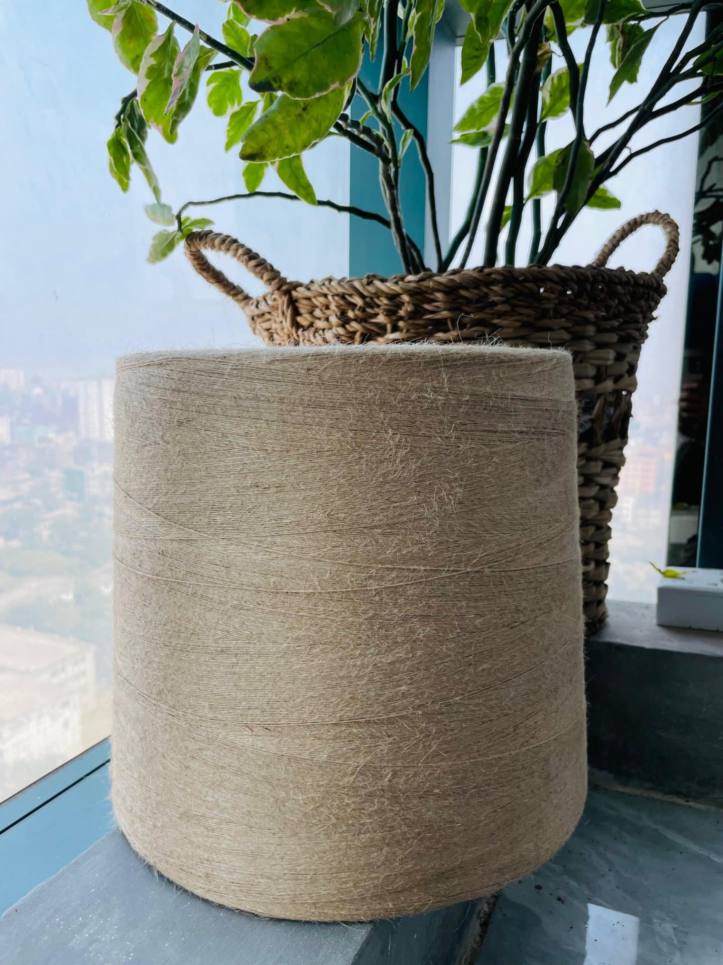 Jute Yarn