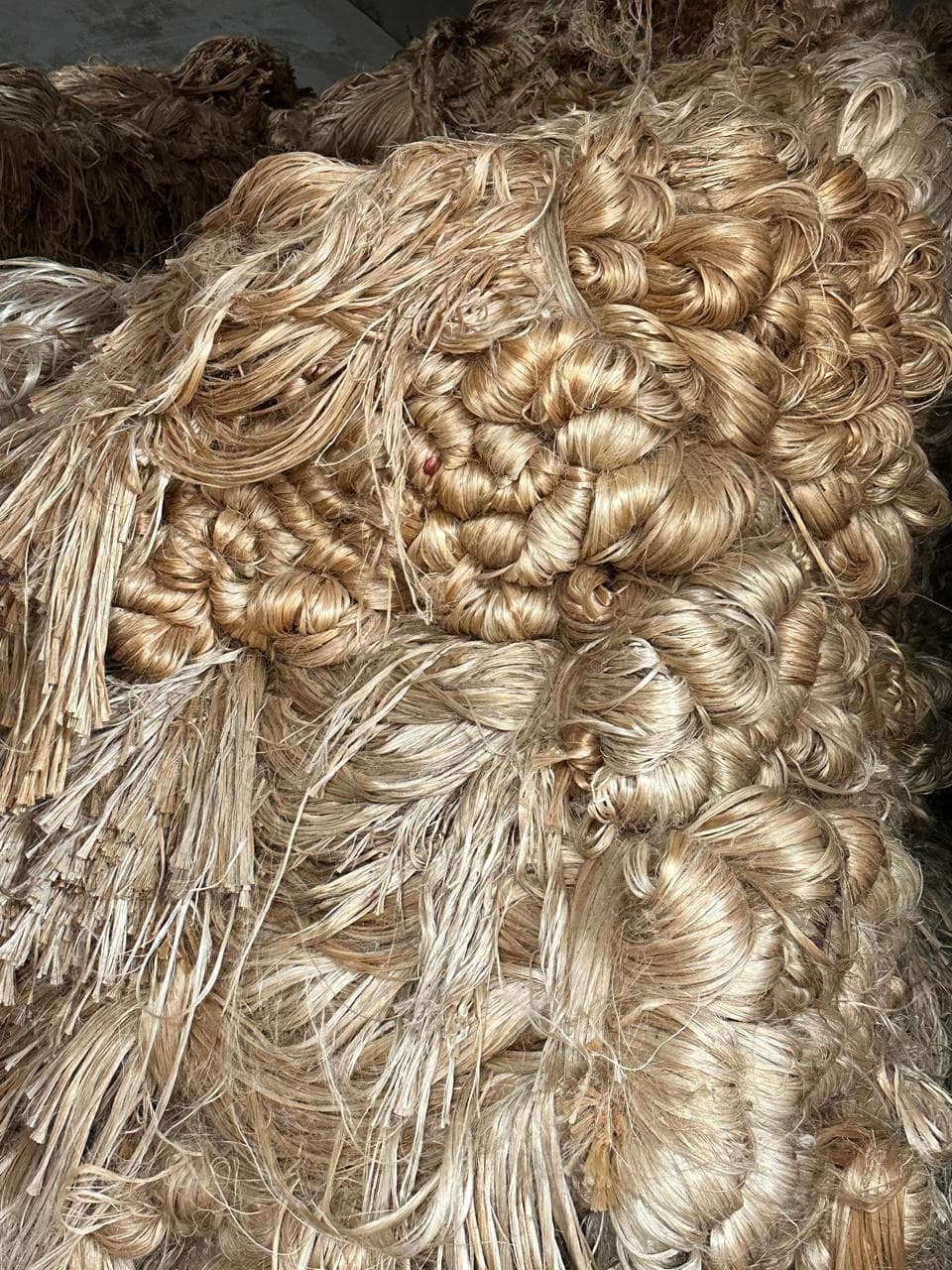Jute - The Fiber for