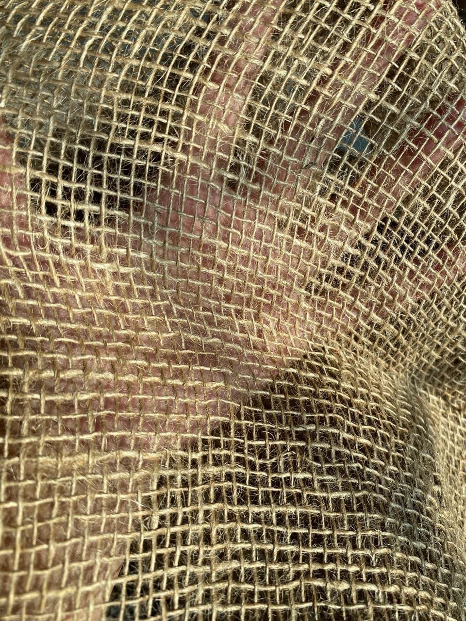 Jute sheets (mesh)